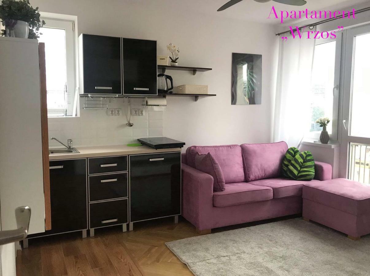 Deluxe Panska Apartments Warszawa Eksteriør bilde